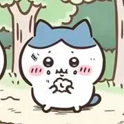 ✨️の画像