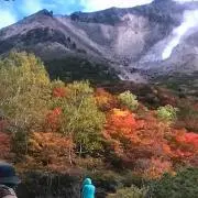 スピーディ発送&まとめ割ありの画像