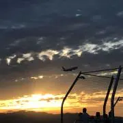 よぴぴの画像