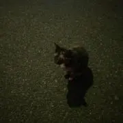 jamの画像