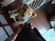 たかみん＊*♬*＊♪の画像