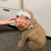 みいこ
