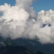 ひめすけの画像