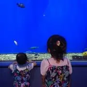 ベーブルースの画像