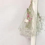 Pちゃんの画像