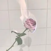 ku//できればプロフ拝読の画像