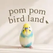 pom pom bird land .の画像