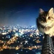 猫ぷりん