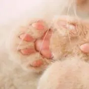 hiro nyan♡の画像