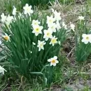 もぐぴ