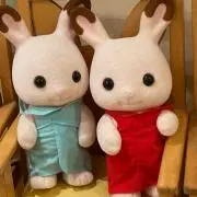 みづか/プロフお読み下さいの画像