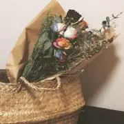 sheの画像