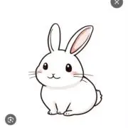 うさの画像
