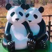 ラテ