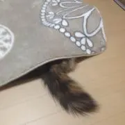 あさのん※プロフィール必読