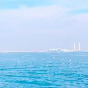 ももたろうの画像