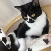 むすび
