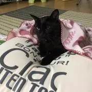 黒糖