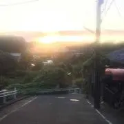 ともげの画像