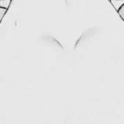 しばの画像
