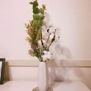 hiroka.の画像
