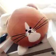 くまっ子の画像