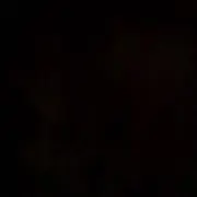 ゆーの画像