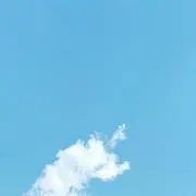 陽の画像
