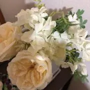 虹