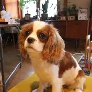 Naoの画像