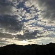 のの【断捨離中 】の画像