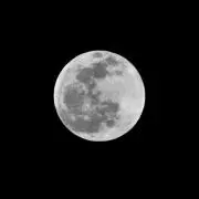 whitemoon
