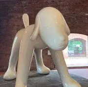 りーさんの画像