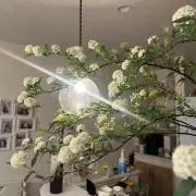 Lunaの画像