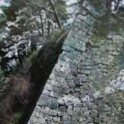 乗蔵の画像