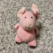 kiruaの画像