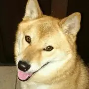 lisayuki2001の画像