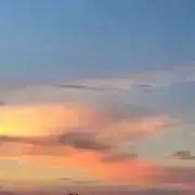 ぬこの画像