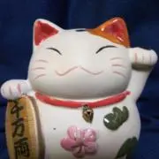 のおくん(プロフィール読んでください)の画像