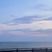 wgdの画像