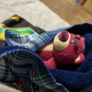 o.hjの画像