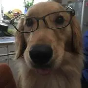 メロンパン