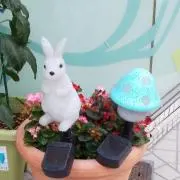 まっしゅの画像