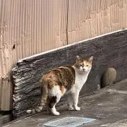 monotakeの画像