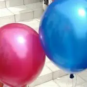 菜の花の画像