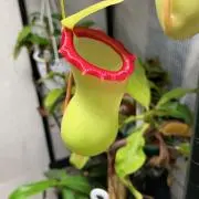 三國@引越断捨離中の画像