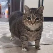 誰でもわかる