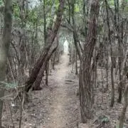 頼まれ断捨離人の画像