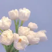 ぷりんの画像
