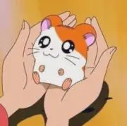 てにの画像